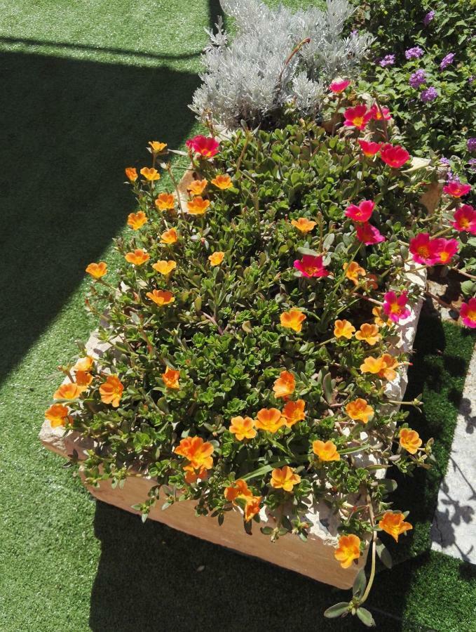 Il Grillo Parlante Bed & Breakfast Surbo ภายนอก รูปภาพ
