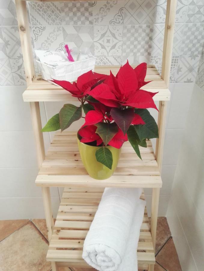 Il Grillo Parlante Bed & Breakfast Surbo ภายนอก รูปภาพ